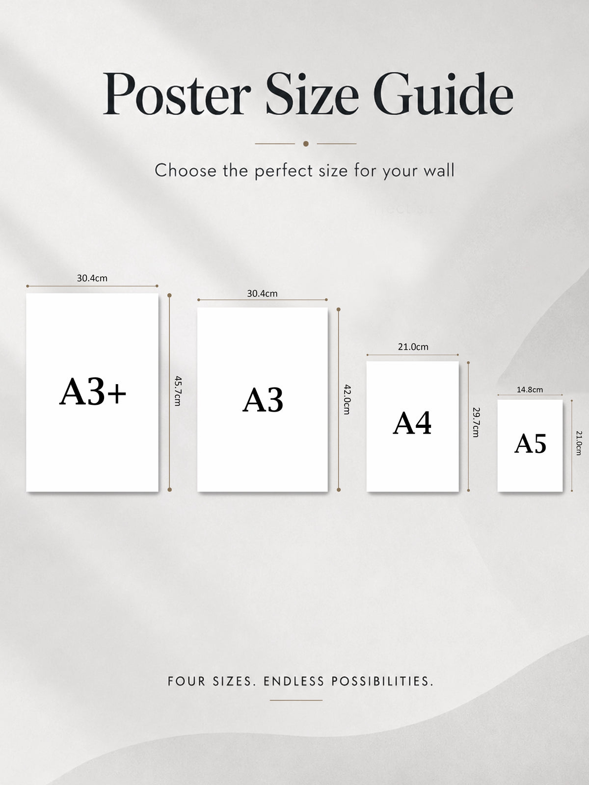 Single Posters Size Comparison Chart - Poster Voster